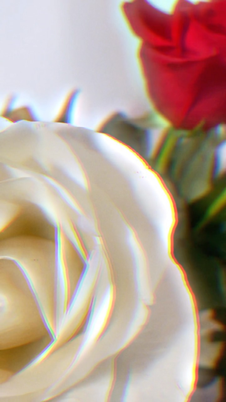 msjuliamoro в LOOKY. #с8марта,#весна,#цветы,#flowers,#Spring,#ламинированиересниц,#ресницы,#lashes,#eyelashlift,#lashlifting,#нижнийновгород,#nn,#nnov,#lashlamination,#обучение. С Праздником, девочк...