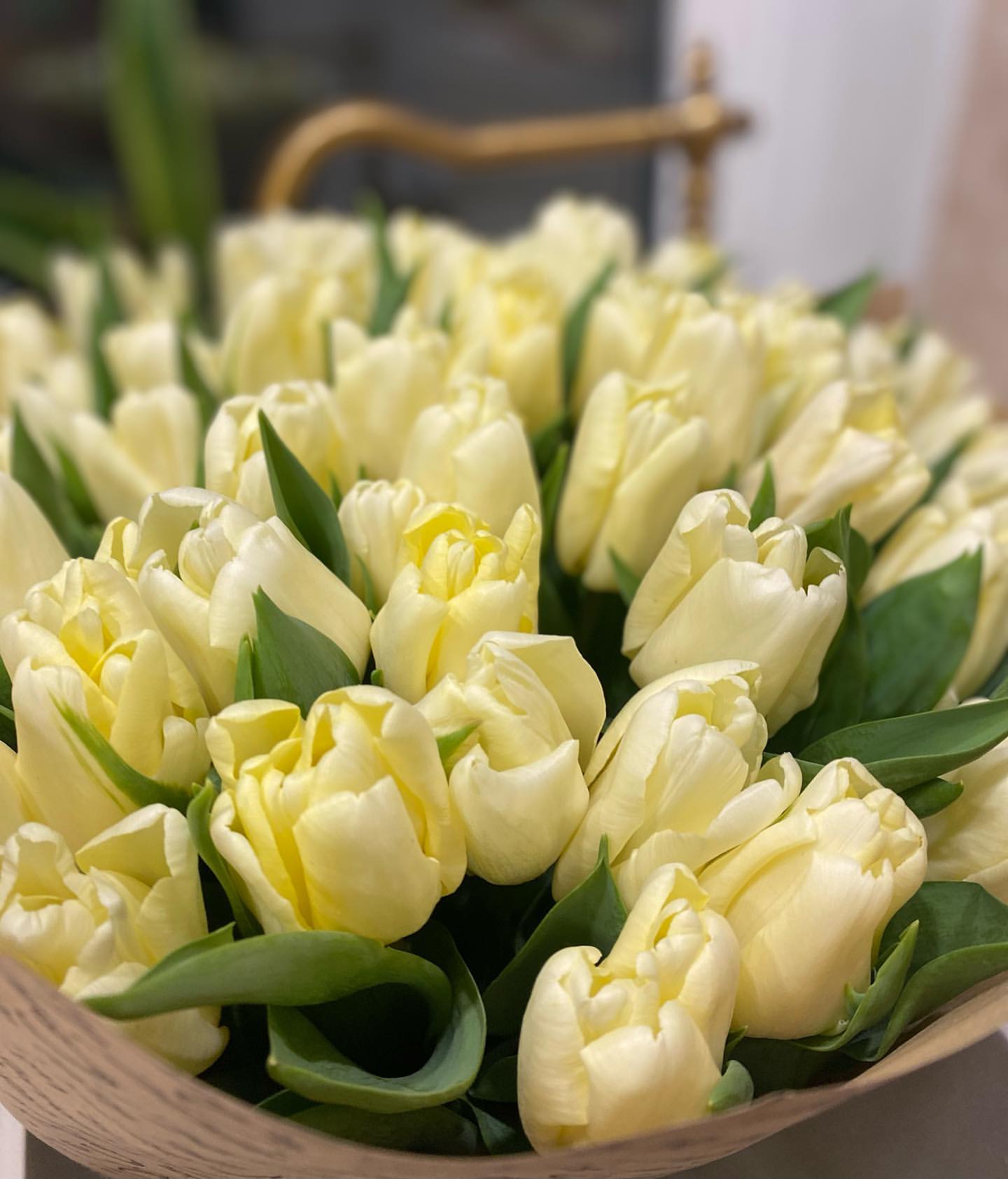 y.a.n.e.s.k.a в LOOKY. . Happy women’s day 🤍
