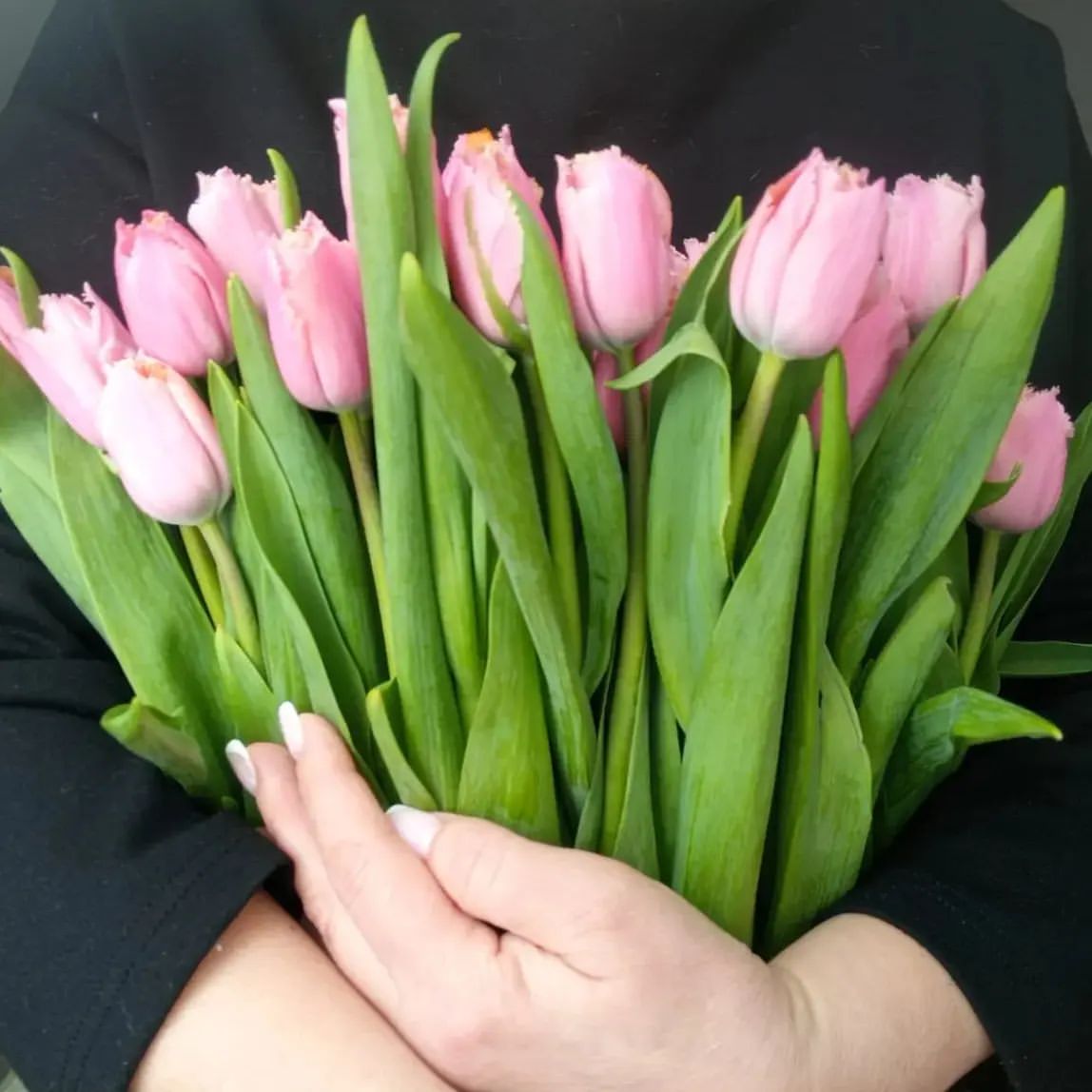 yolka3007 в LOOKY. . null