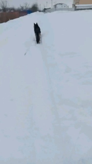 biryukovakreytova1994 в LOOKY. . null