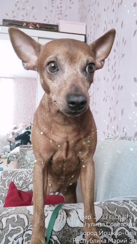 iriska05.06 в LOOKY. . 🐾Моя сладость😘🐾