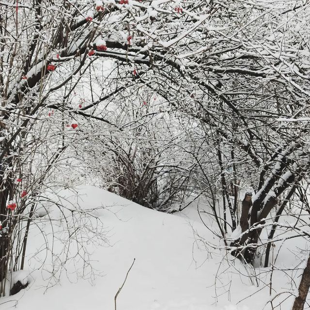 mihac_pin в LOOKY. #природа,#nature,#beautiful,#beauty,#красиво,#красота. We and nature #приро...