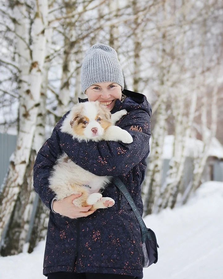 iz_doma_korolevoi_kennel в LOOKY — фото 3