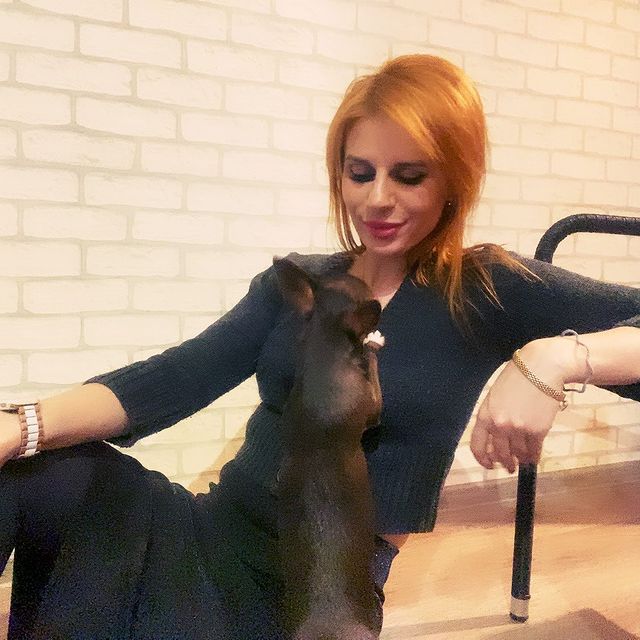 ruda2016 в LOOKY. #❤️,#собака,#чихуахуа,#крошка,#милашка,#шоколадка,#любовь. Никогда не думала, ч...