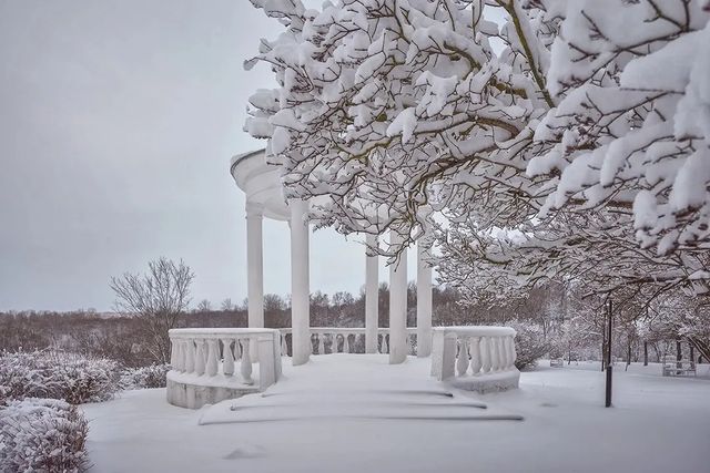 dmitriibilly в LOOKY. #nikonz5,#nikor24120f4,#nikon,#spring,#wonderful_places,#snowwhite,#snowfall,#winterforest,#beautyofnature,#photographsofnature,#bestphotographer. #nikonz5 #nikor24120...