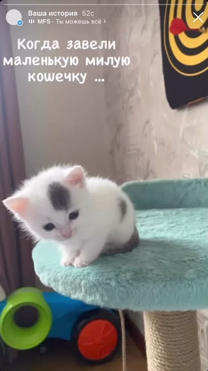 family__its_just_us в LOOKY. . Наша Бастилия 🙃. Ба...