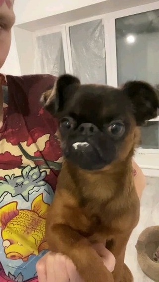 yoshik_dog в LOOKY. . Я не знаю зачем вы э...