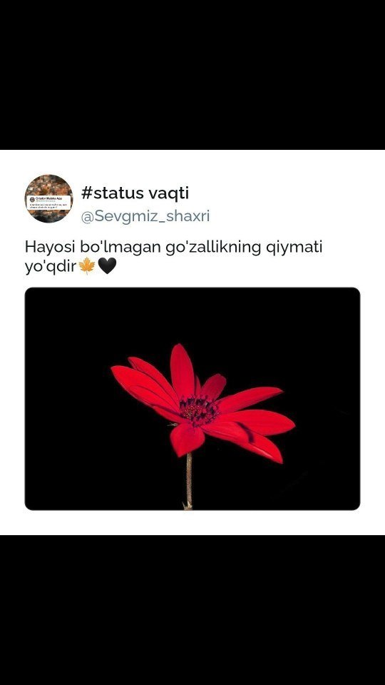 bakhran_ov в LOOKY. #tiktok,#instagram,#foryou,#uzb_top,#tbt,#toshkent,#samarkand,#sevgmiz_shaxri,#rekkkkkkkk,#top_transports_photo,#repost,#reels. Kulib ulay dedim 🤣�...
