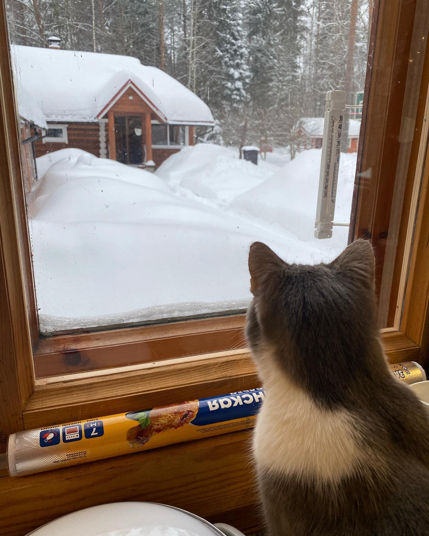 ludiknicolaeva в LOOKY. . Вид из окна.