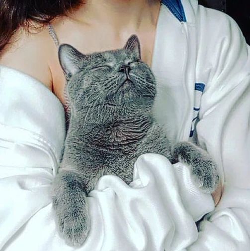 karina_kasiianenko в LOOKY. . Люцифер 💕