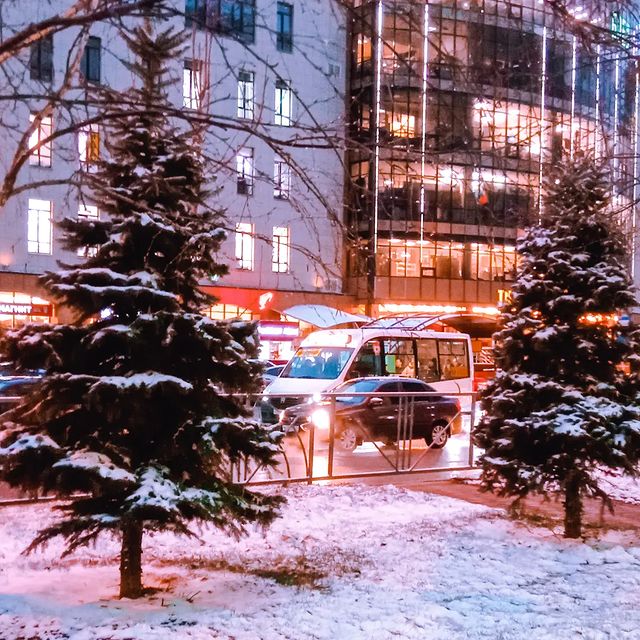 1irina_online в LOOKY. . Снова ели в снегу...