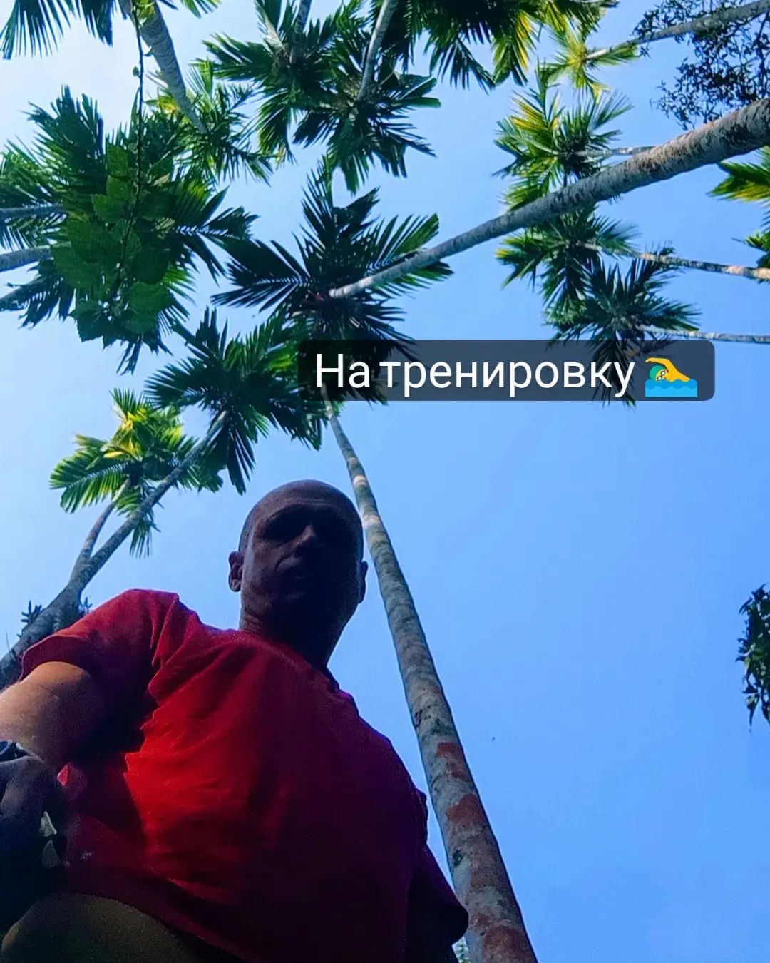 sergeitraktirov