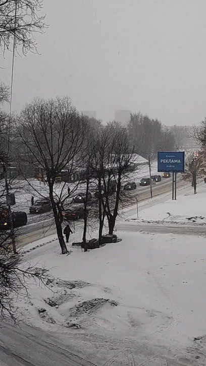 chapik77 в LOOKY. . Не свисти - весны не...