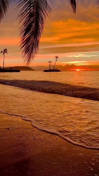 best__dis в LOOKY. . null