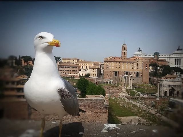 roman_s_rimom в LOOKY. . БЫЛОЕ ВЕЛИЧИЕ РИМА

...