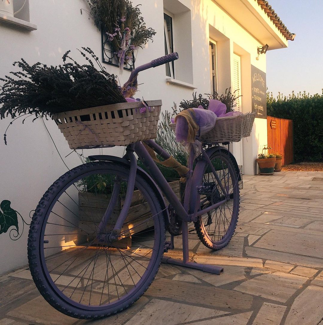topalova.pro в LOOKY — фото 2