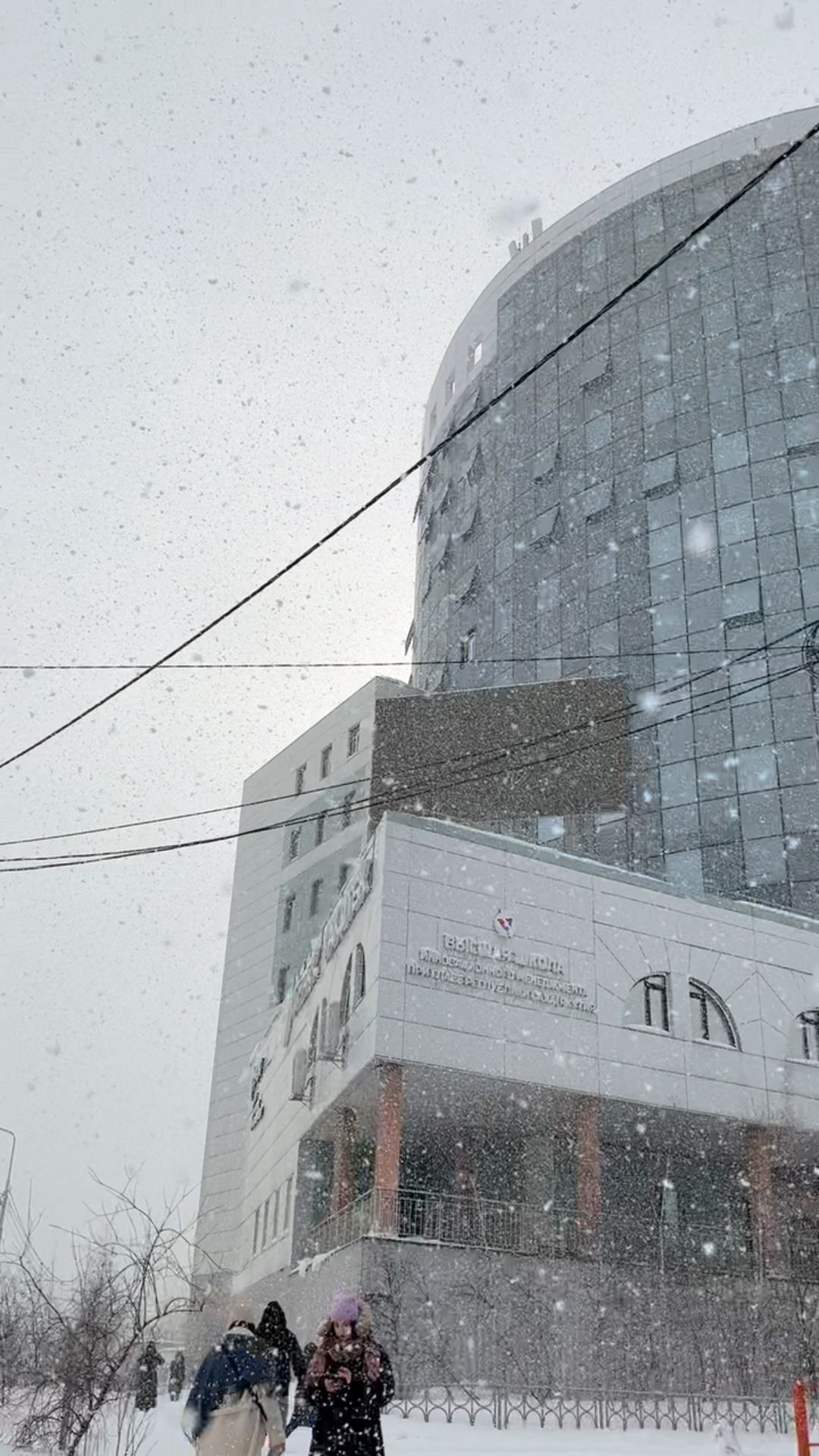 sainapon в LOOKY. . null