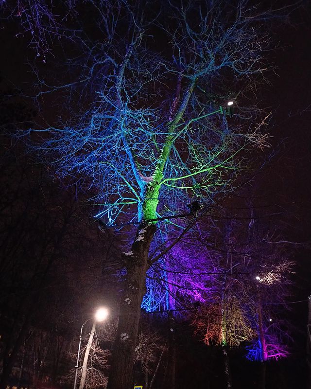 d4rk_r4bbit в LOOKY. #d4rk_r4bbit,#photo,#mobilephotography,#streetphotography,#nightview,#neoncolors,#cityphotography. ...

#d4rk_r4bbit #p...