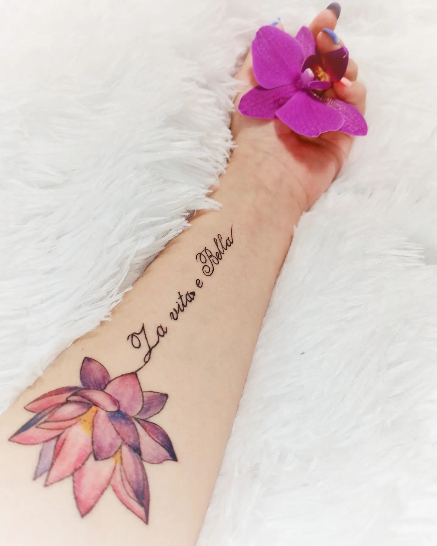 tekilla_boom163 в LOOKY. . Ну вот собственно и ...