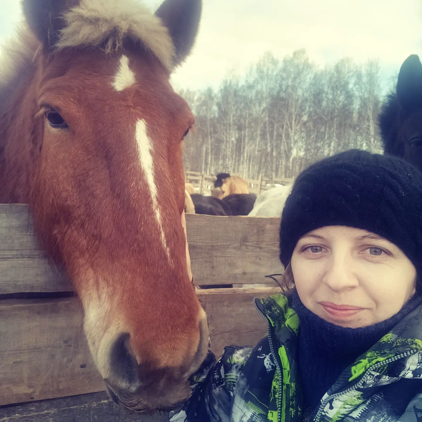 nelli19962 в LOOKY. #искарка. #искарка🧡между нами...