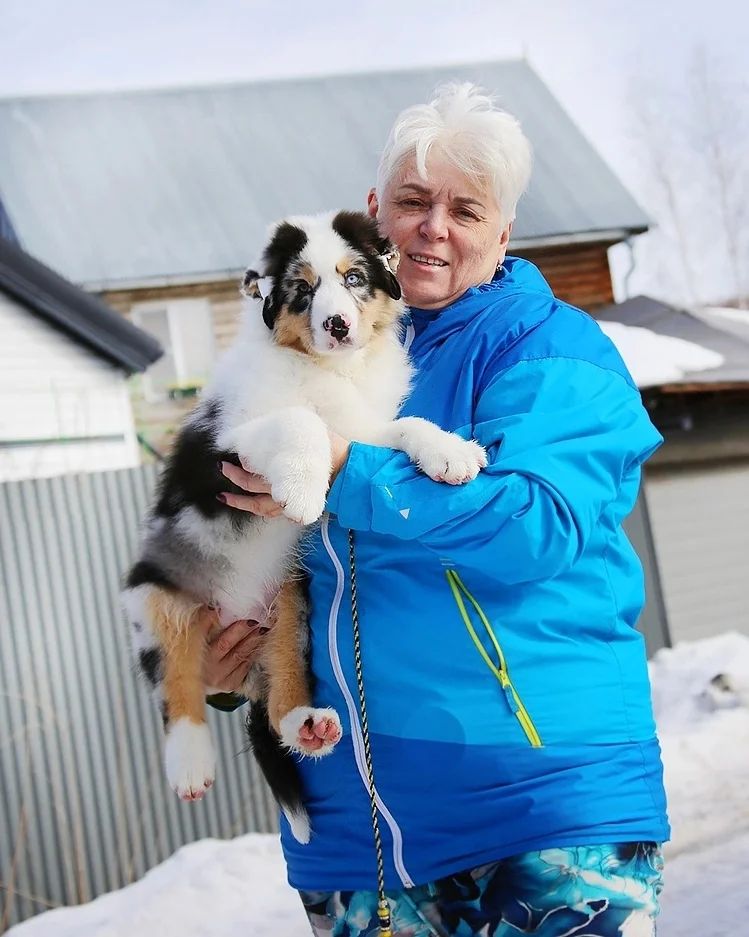 iz_doma_korolevoi_kennel в LOOKY — фото 2