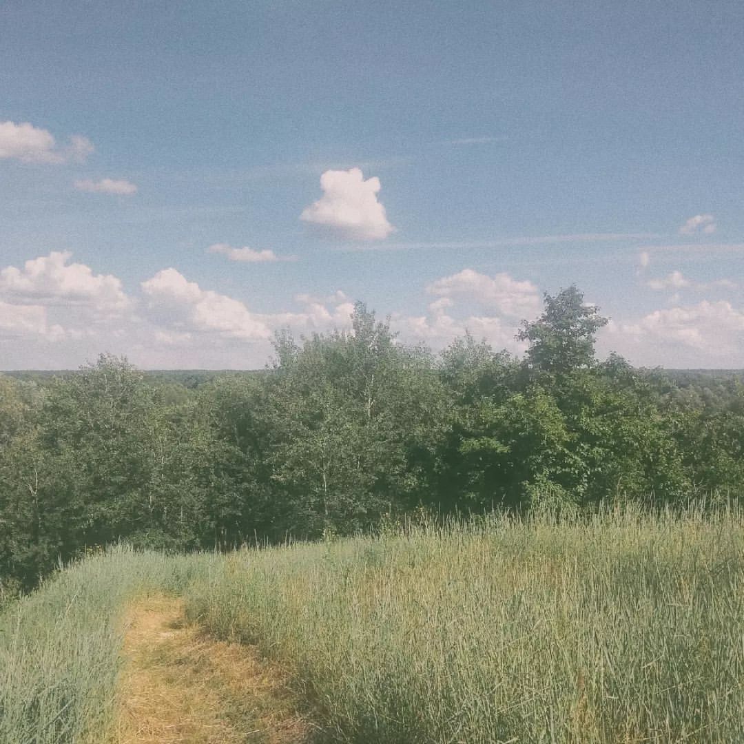 offarno in LOOKY. . русь