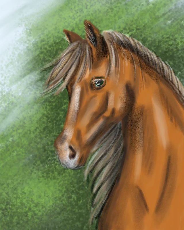 finodin.ka_art в LOOKY. #лошадь,#кобыла,#рыжийконь,#рыжаялошадь,#игреневая,#игрень,#horse,#верховаяезда,#horsebackriding,#horseriding,#redhorse,#autodesk,#autodesksketchbook,#digitalart,#horsesketch,#digitalgraphic,#диджитадарт,#иллюстрация,#сон,#dream,#dreams,#сновидения,#наездница,#rider. Знакомьтесь, эту игр...