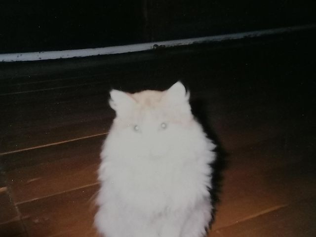 iejieqsit в LOOKY. . null