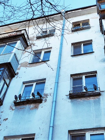 chapik77 в LOOKY. . Никому не засидеться...