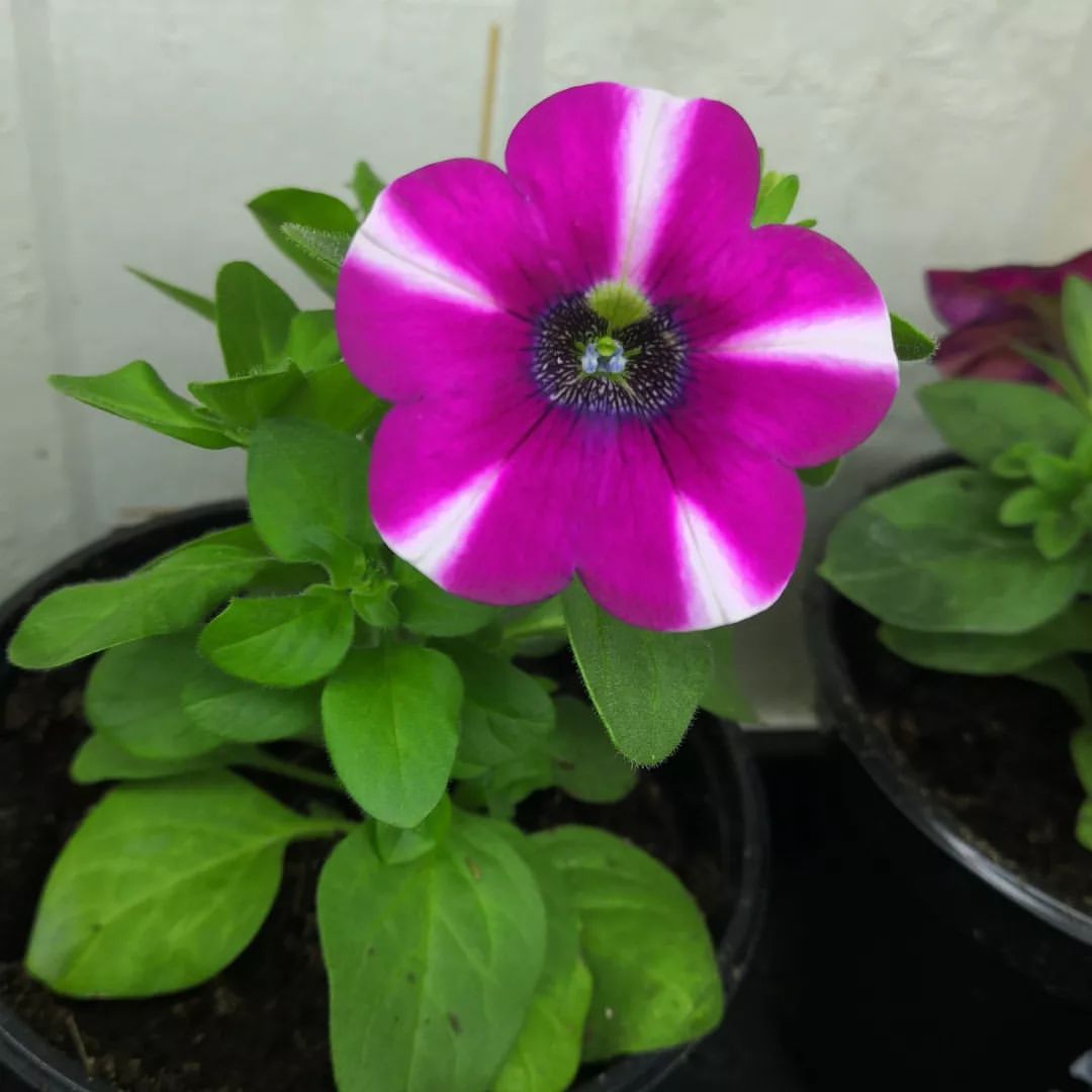 sheremeteva_nataliya в LOOKY — фото 7