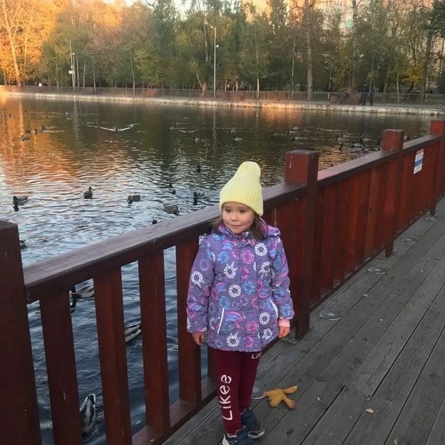 mila55_kar1 в LOOKY. . Прудик. Уточки. Крас...