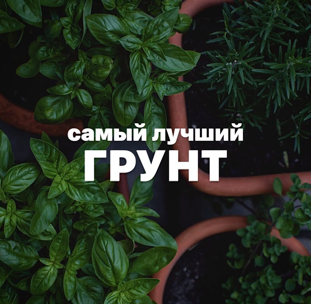 topalova.pro в LOOKY — Грунт для рассады и домашних цветов своими руками👐🏼🪴
Испо