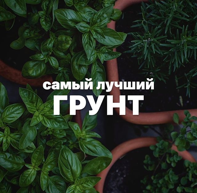 topalova.pro в LOOKY. . Грунт для рассады и ...