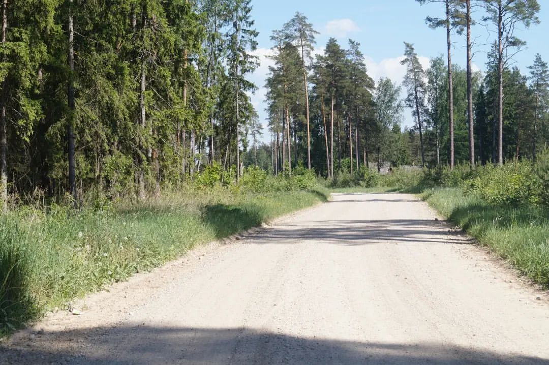 povedionoksasha4 в LOOKY — фото 10