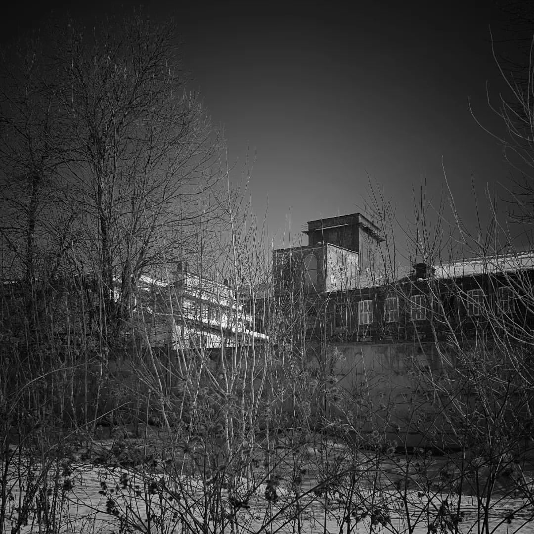 foto.furmanov.plus в LOOKY — Немножко чб. #фурманов #ивановскаяобласть #чб #bw #bwphoto