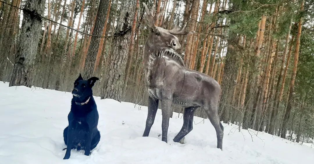 viktoriya_htorm_ в LOOKY — публикация