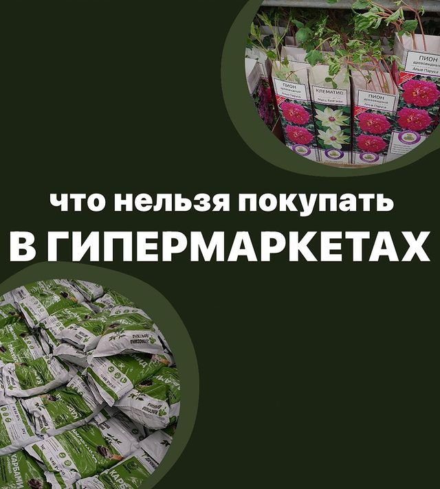 topalova.pro в LOOKY. . Большие магазины. Чт...