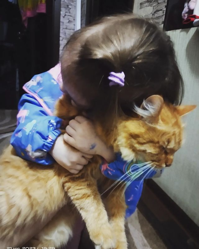 lena_osipova_0410 в LOOKY. . 😻