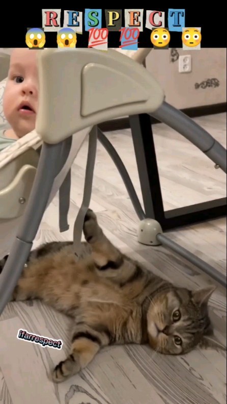 ifar_respect в LOOKY. #amazing,#viral,#viralvideo,#likeaboss,#respect,#tiktok,#subscribe,#like,#shorts,#youtubeshorts,#respect,#fyp,#respect,#shorts#amazing,#viral,#viralvideo,#likeaboss,#respect,#fyp,#subscribe,#like,#shorts#youtubeshorts. Respect amazing vira...