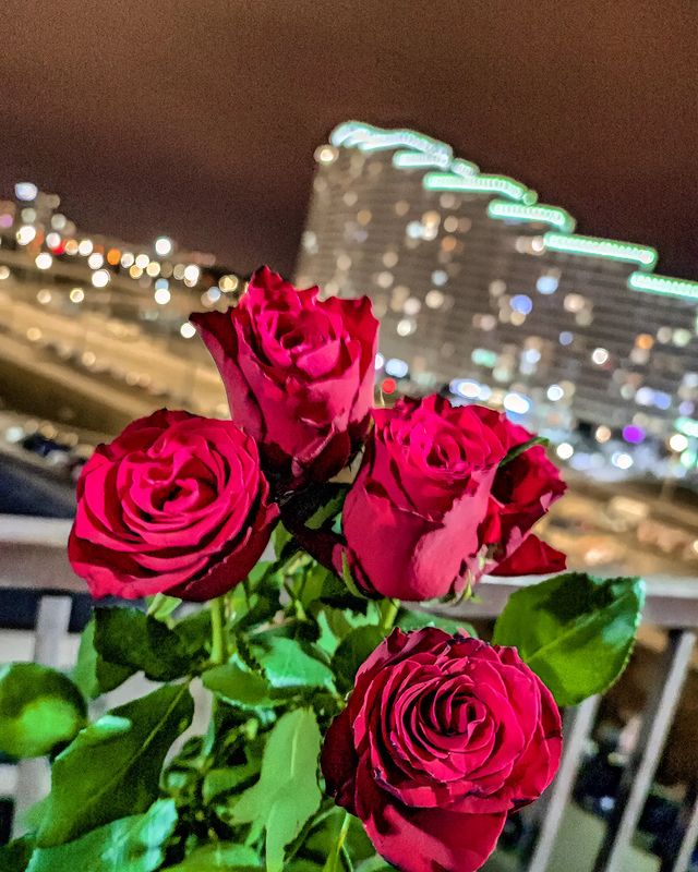 monamoredia в LOOKY. #minsk,#flower,#rose,#belarus,#follow,#like,#l4l,#f4f. Beauty ✨
.
.
.
#mins...