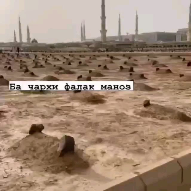 malik_o1o1 в LOOKY. #muz_imovie,#bimmerlife,#bobojonckie,#tunedcars,#carsport,#v12biturbo,#mbclassic,#e39mafia,#gpower,#боком,#автоновости,#loundsound,#mpower_official,#дрифтинг,#ралли,#классикассср,#гонка,#волчонок,#carsussr,#amggts,#popsandbangs,#topcars,#avto_khv27. Ку ай 1.2 3.4 кадоми...