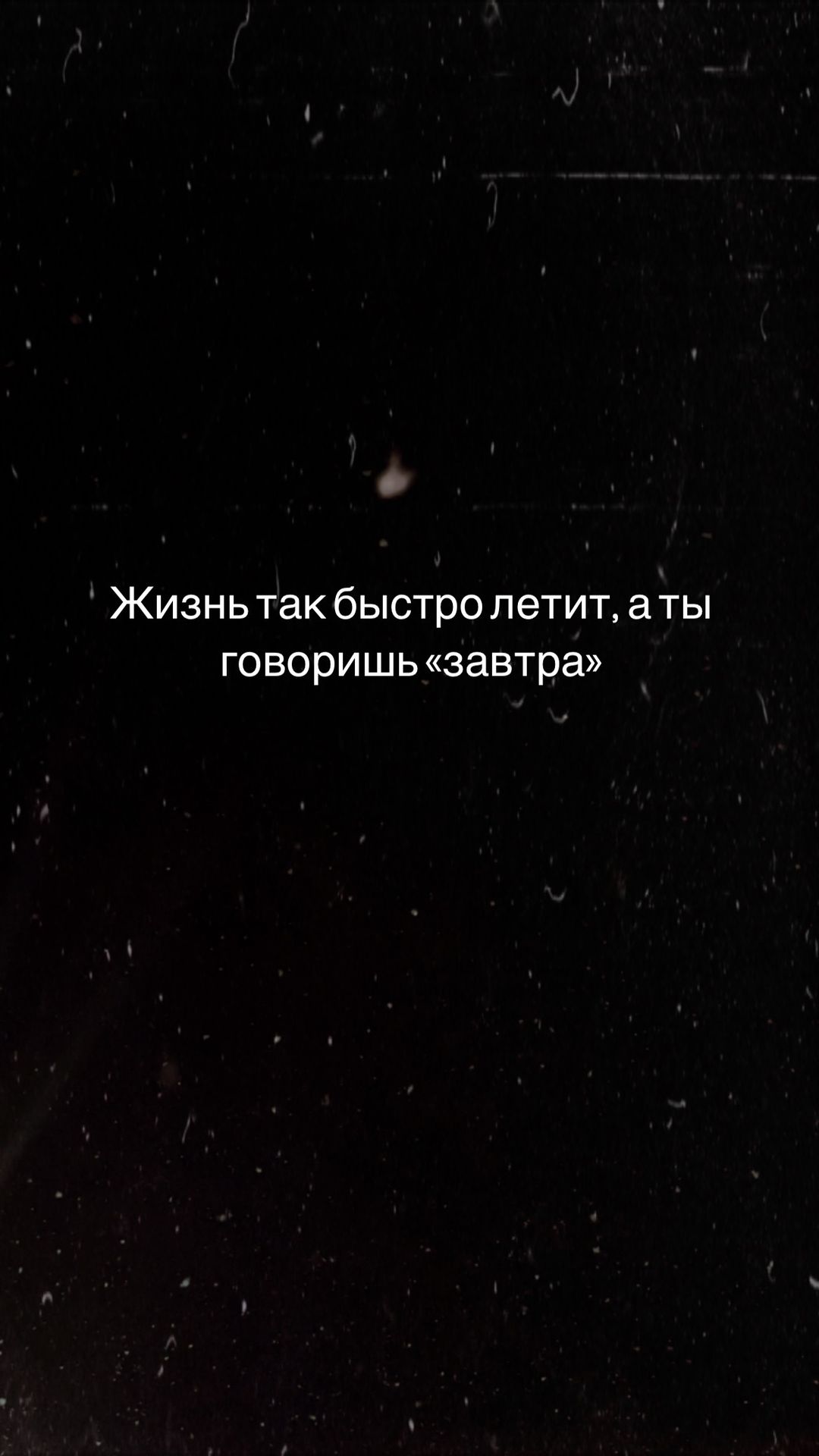 liza_shemetova_ в LOOKY. . null