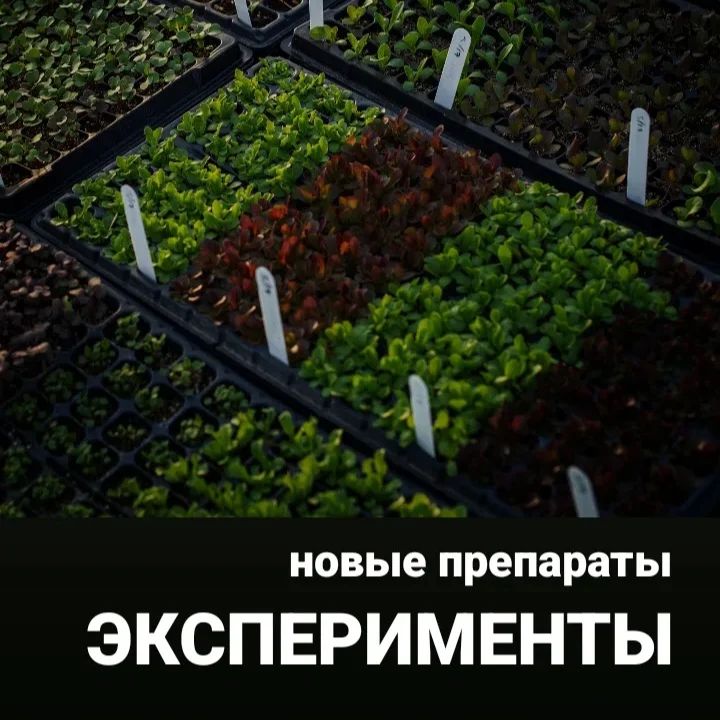 topalova.pro в LOOKY — ⚡Время экспериментов. Новые препараты.⚡

 🌱 В моем личном к