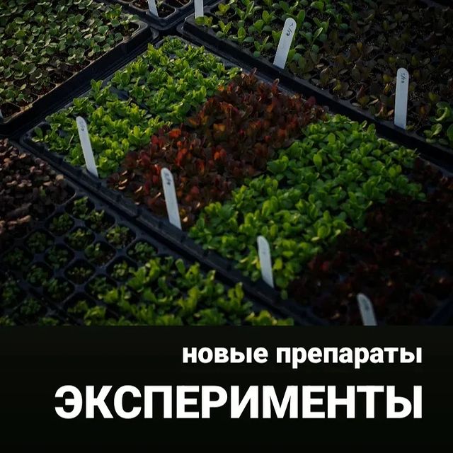 topalova.pro в LOOKY. . ⚡Время экспериментов...