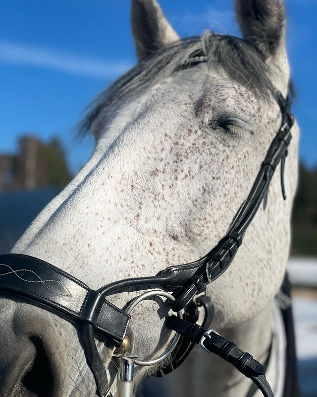 lizaveta__unicorn в LOOKY. . Настроение ☀️