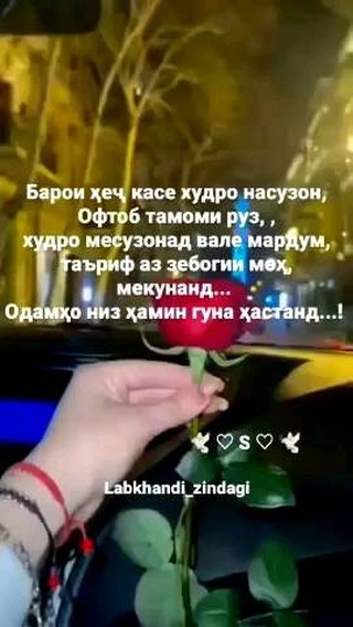 marginal_52 в LOOKY. . 👍👍👍👍👍