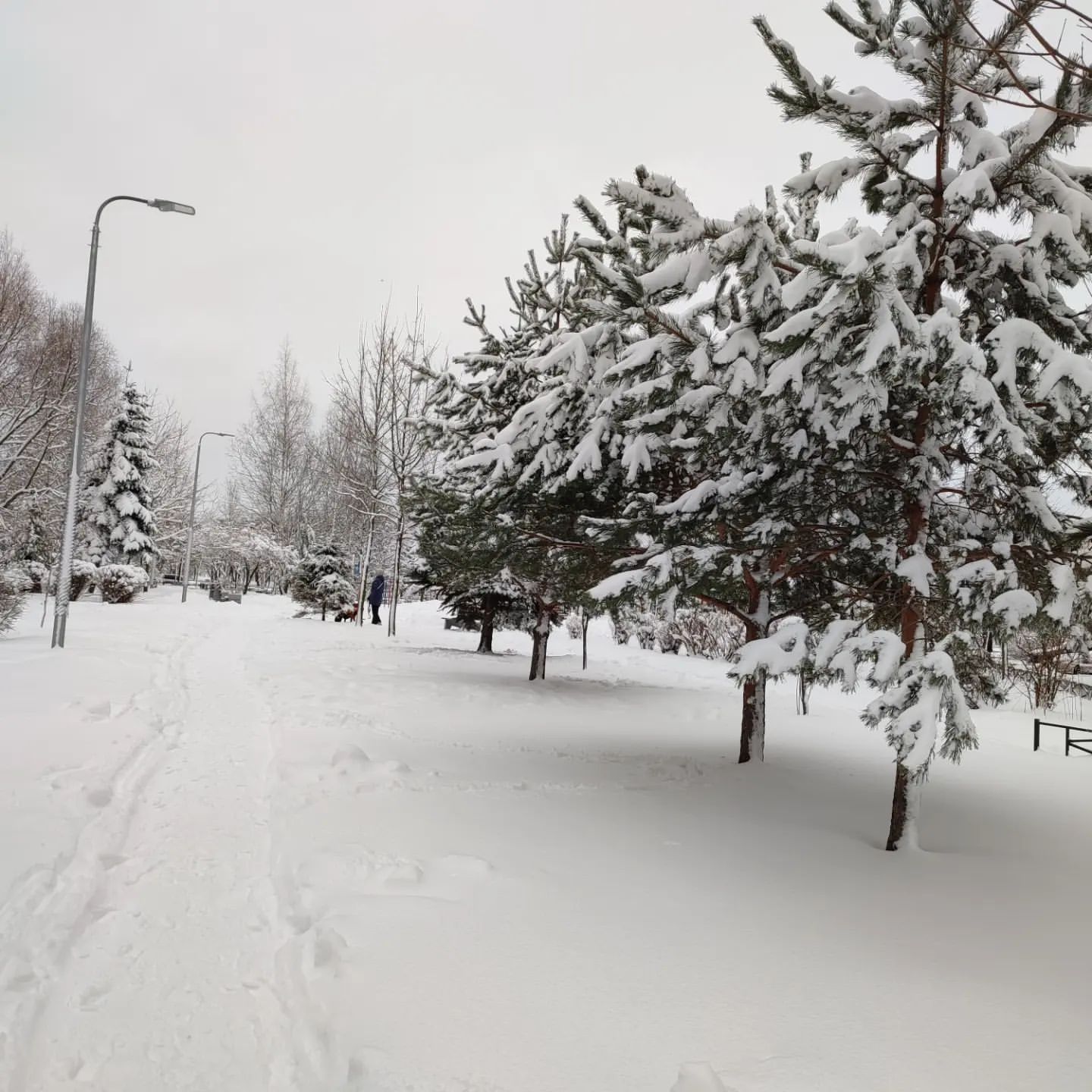 iulia_2509 в LOOKY. #весна,#30марта2023. #весна #30марта2023