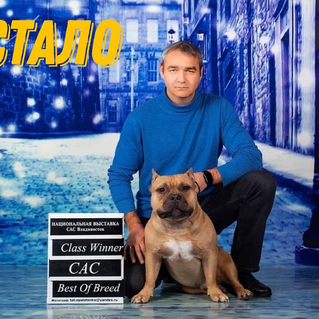 tartariabully в LOOKY — фото 2