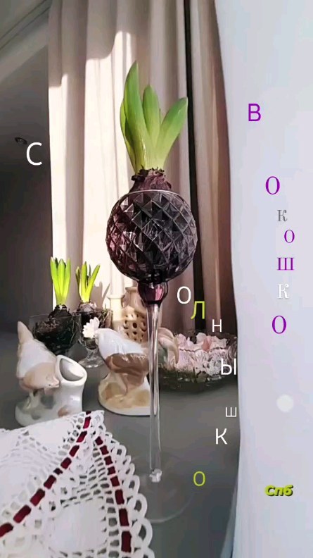 natalinevel в LOOKY. #30марта2023,#солнцевоконце,#крокусы,#весна,#сервировка,#хорошееутро. Долгожданное ☀️ сего...