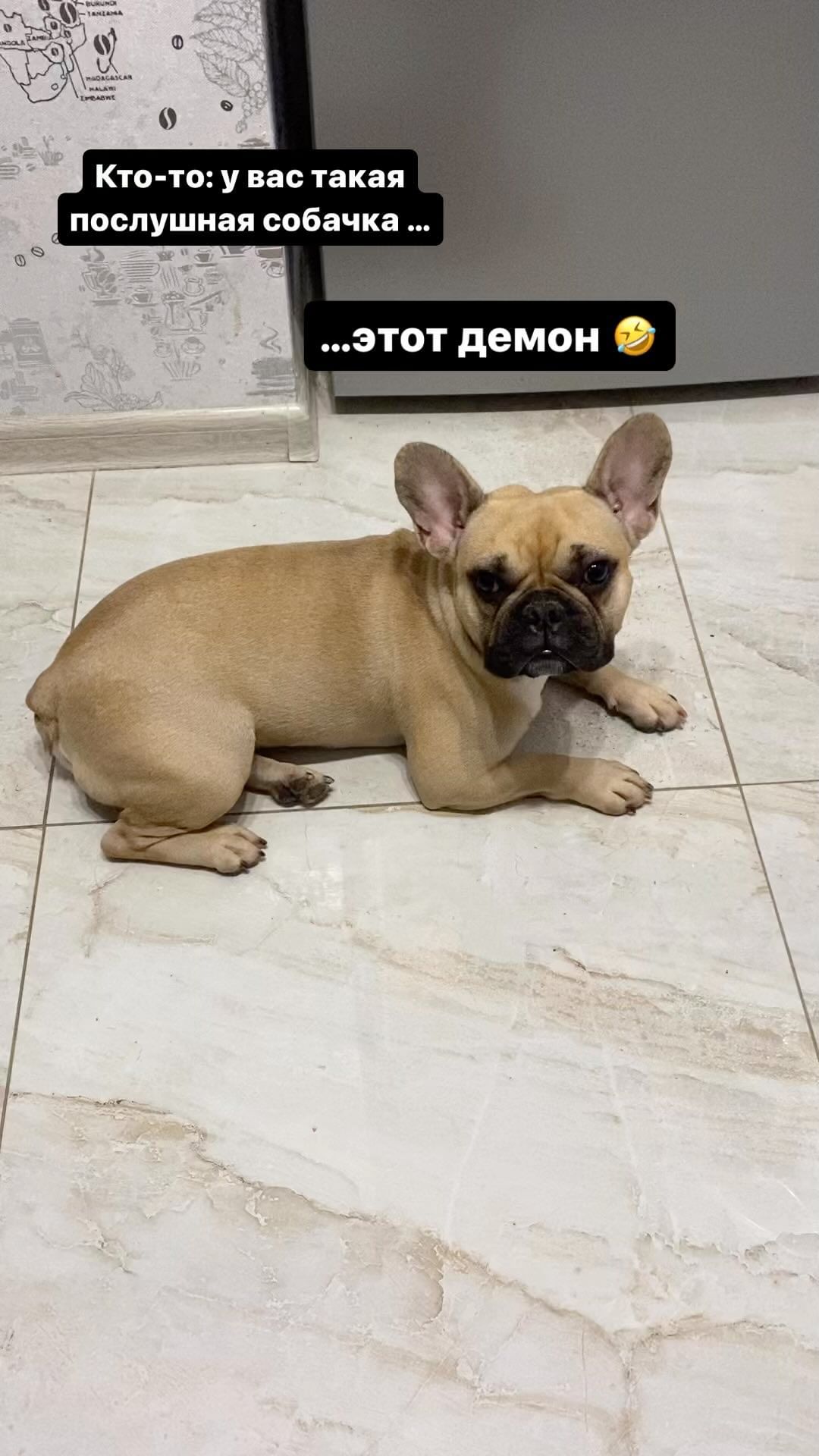 hellooobiches в LOOKY. . Так и живем 🤪🤣